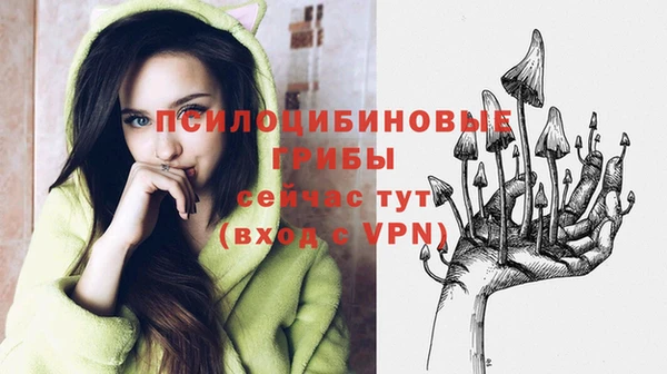 бошки Михайлов