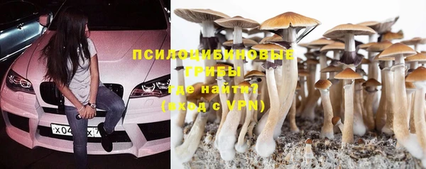 гидропоника Михайловск