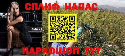 мдпв Донской