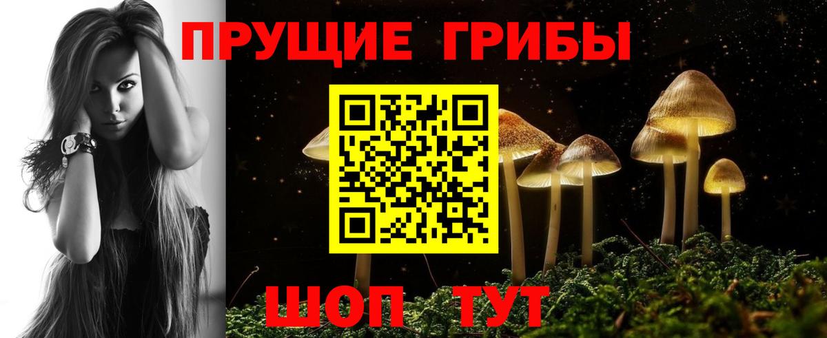 Мыски  Галлюциногенные грибы Cubensis  Вход с VPN 